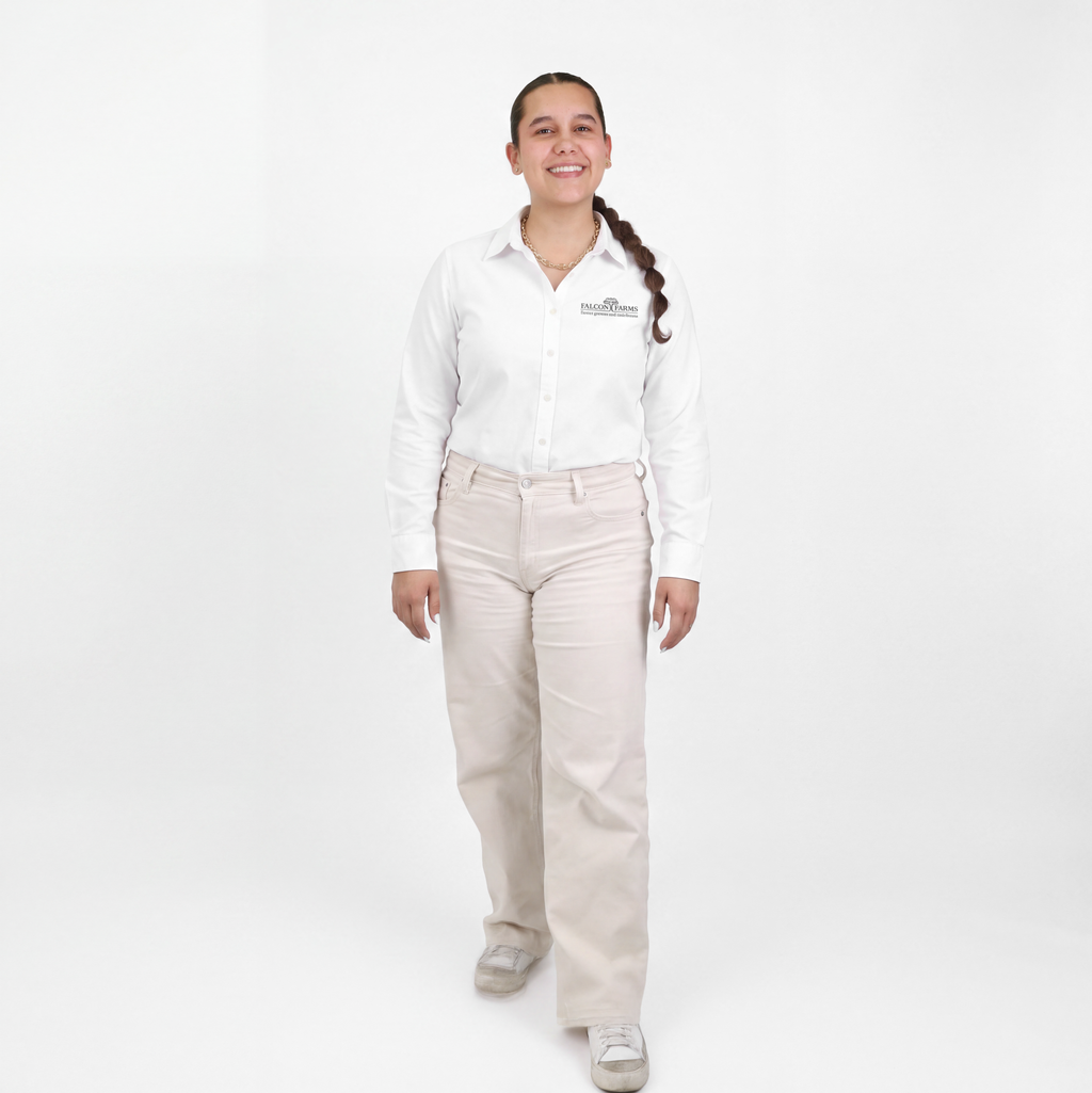 Classic Button Up Shirt Women